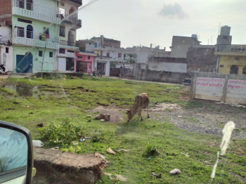  Residential Plot for Sale in Umari, Satna