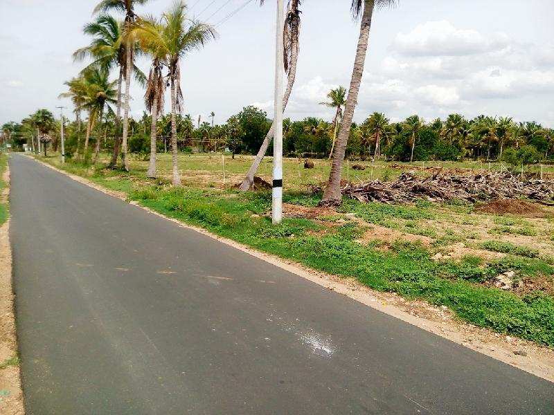 Agricultural Land 3 Acre for Sale in Avalpoondurai, Erode