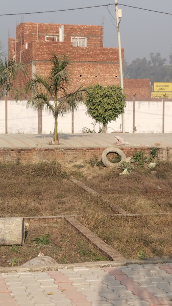  100 Sq. Yards Residential Plot for Sale in Rohta Road, Meerut