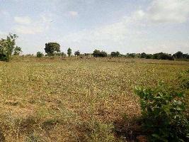  Agricultural Land for Sale in Shoolagiri, Krishnagiri