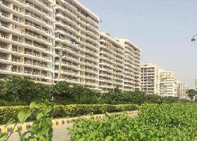  Penthouse for Rent in TDI City Kundli, Sonipat