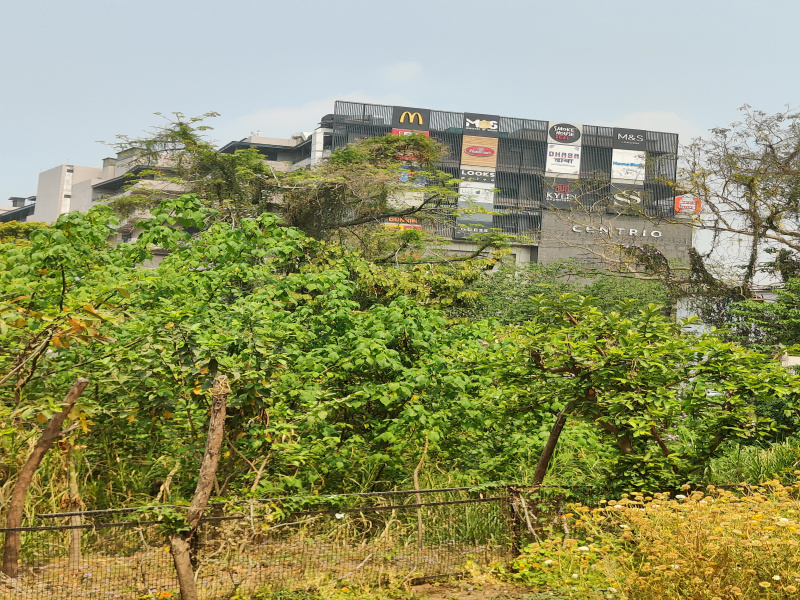  Residential Plot 250 Sq. Yards for Sale in Hathibarkala, Dehradun