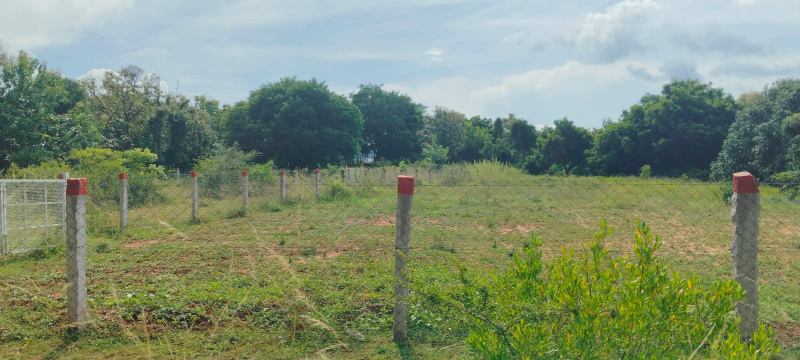  Agricultural Land 12 Cent for Sale in Courtallam, Tirunelveli