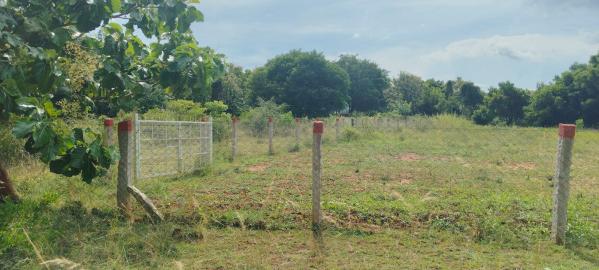  Agricultural Land 12 Cent for Sale in Courtallam, Tirunelveli