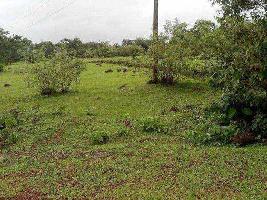  Industrial Land for Sale in Alibag, Raigad