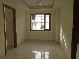 2 BHK Flat for Rent in Bhandarkar Road, Pune