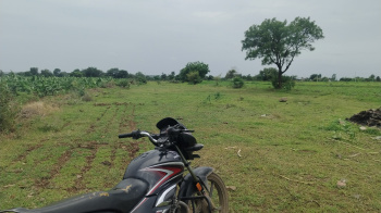  Agricultural Land for Sale in Panvel, Raigad