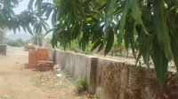  Commercial Land for Sale in Mazgaon, Mumbai