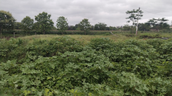  Commercial Land for Sale in Chincholi, Solapur