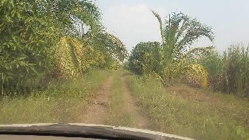  Agricultural Land for Sale in Akluj, Solapur