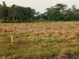  Residential Plot for Sale in Joka, Kolkata