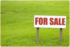 Agricultural Land 200 Bigha for Sale in