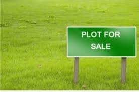 Agricultural Land 13 Ares for Sale in Champadali,