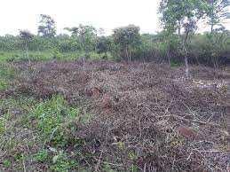  Agricultural Land for Sale in Uluberia, Howrah