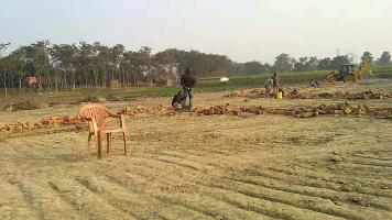  Residential Plot for Sale in Joka, Kolkata