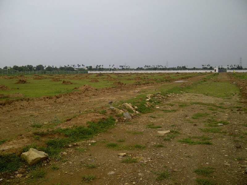 Agricultural Land 2500 Sq.ft. for Sale in Action Area I, New Town, Kolkata