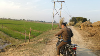  Agricultural Land for Sale in Dataganj, Badaun