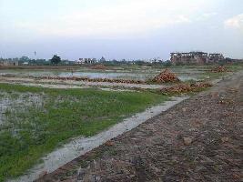  Residential Plot for Sale in Shyampur, Haridwar