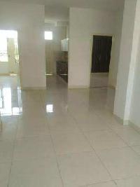 3 BHK Builder Floor for Sale in Sector 113 Mohali