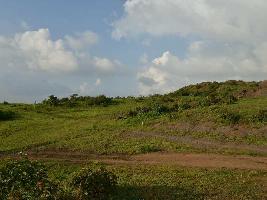 Agricultural Land for Sale in Dindori, Nashik