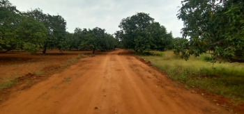  Agricultural Land for Sale in Koothalur, Sivaganga