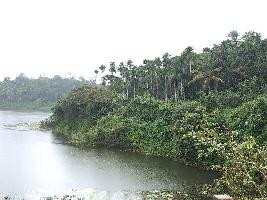  Agricultural Land for Sale in Ambalavayal, Wayanad