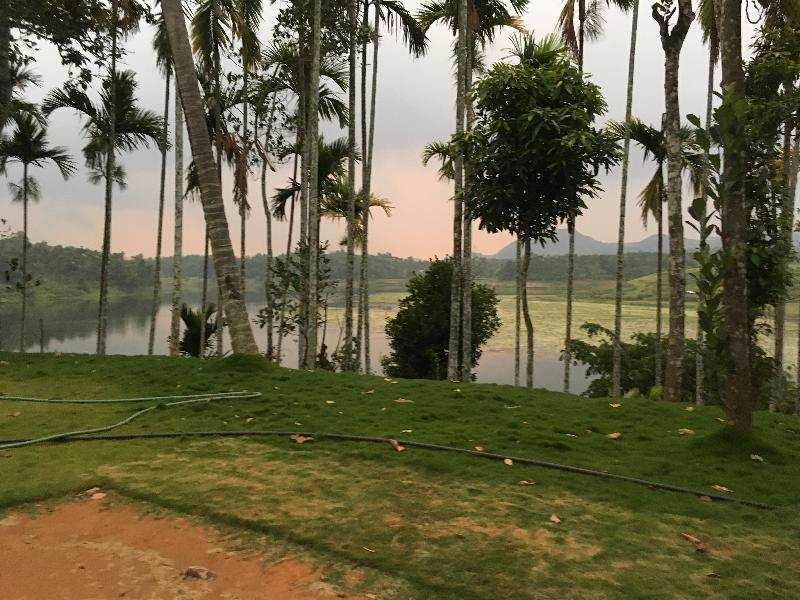 Industrial Land 2 Acre for Sale in Ambalavayal, Wayanad