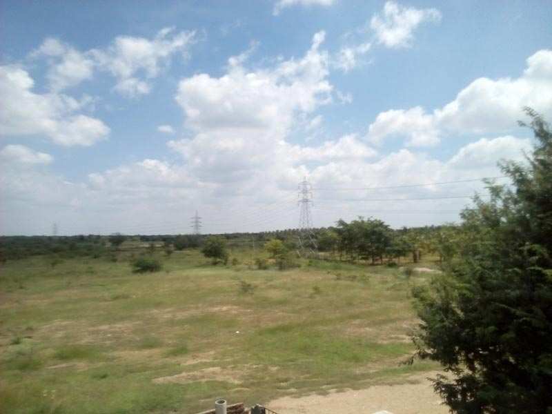 Agricultural Land 140 Acre for Sale in