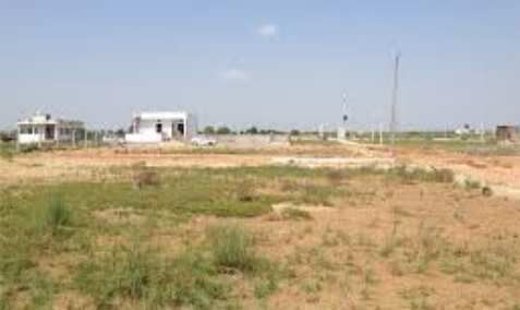  Residential Plot 1000 Sq.ft. for Sale in Mangla, Bilaspur