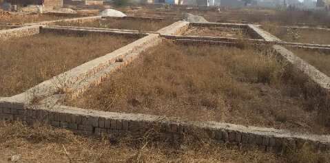  Residential Plot 1200 Sq.ft. for Sale in Uslapur, Bilaspur