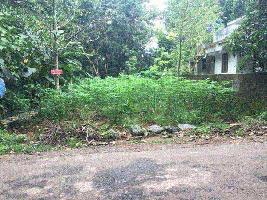  Residential Plot for Sale in Chingavanam, Kottayam