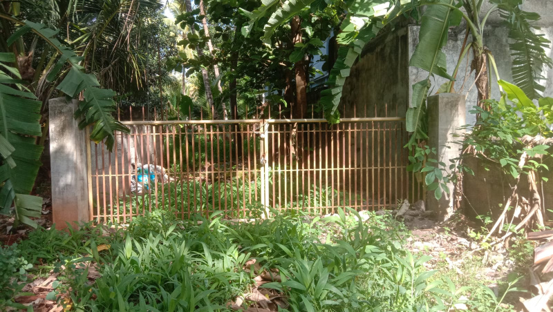  Residential Plot 33 Cent for Sale in Konam, Kanyakumari