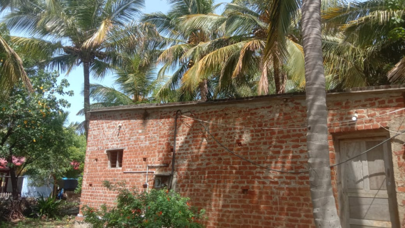  Agricultural Land 2 Acre for Sale in Panagudi, Tirunelveli