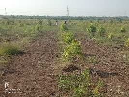  Agricultural Land for Sale in Addanki, Prakasam