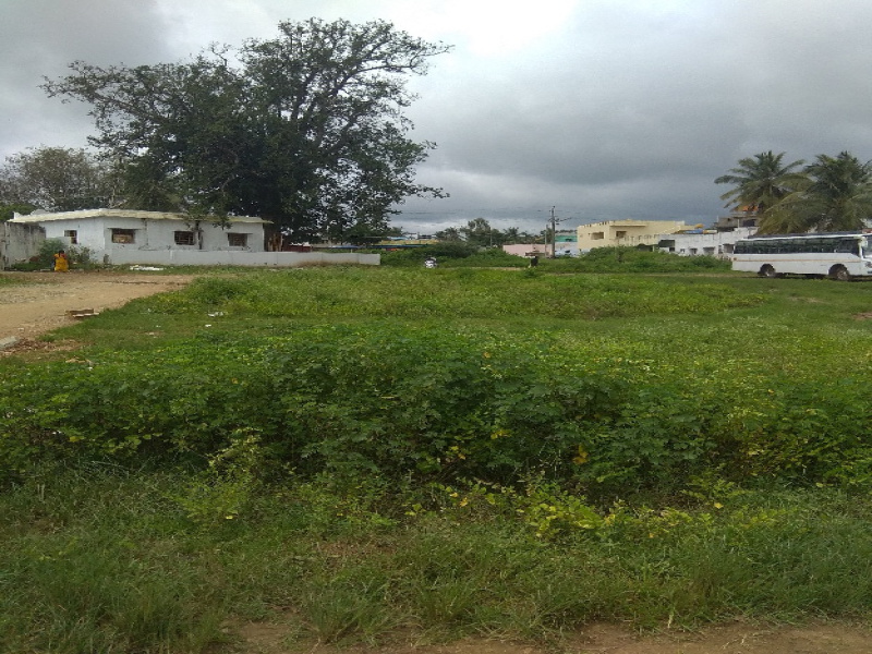  Commercial Land 4200 Sq.ft. for Rent in Ayanur, Shimoga