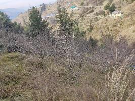 Commercial Land for Sale in Theog, Shimla