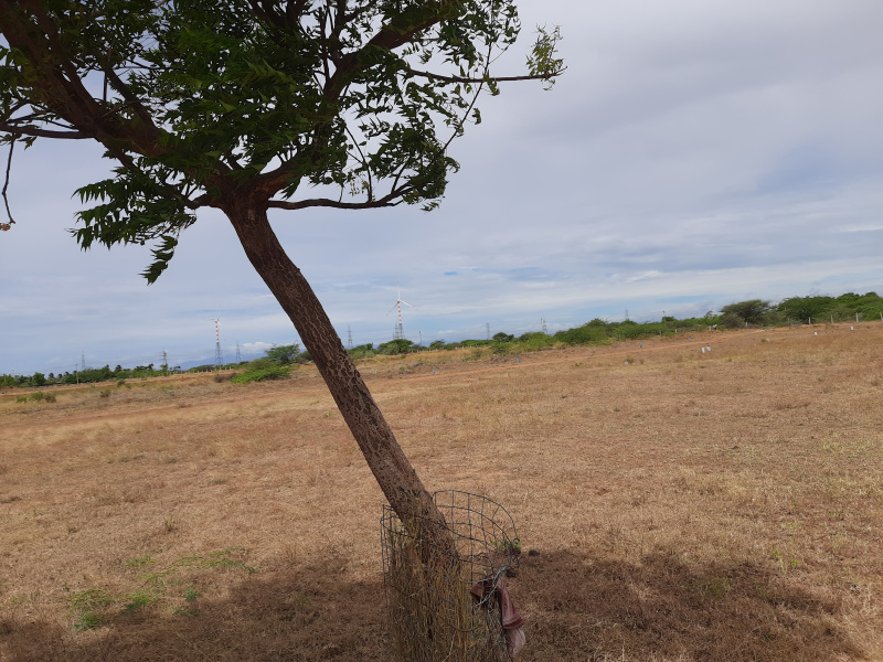  7104 Sq.ft. Residential Plot for Sale in Gangaikondan, Tirunelveli