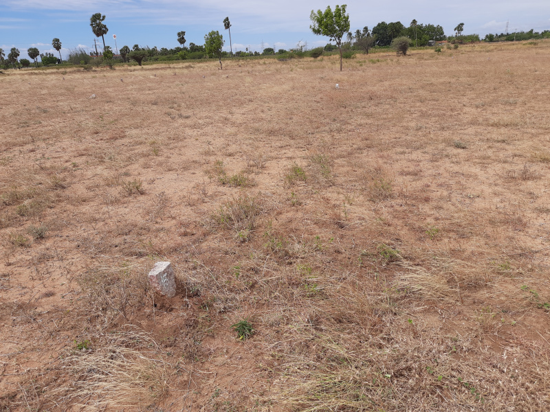  7104 Sq.ft. Residential Plot for Sale in Gangaikondan, Tirunelveli