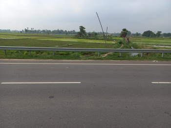  Commercial Land for Sale in Dhanarua, Patna