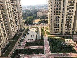 3 BHK Flat for Rent in New Moti Nagar, Delhi
