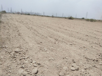  Industrial Land for Sale in Dholera, Ahmedabad
