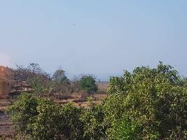  Agricultural Land for Sale in Mangaon, Pune