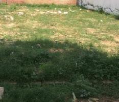  Residential Plot for Sale in Sector 110A, Gurgaon