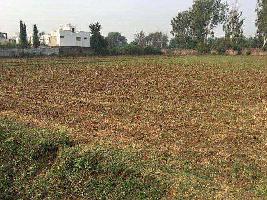  Agricultural Land for Sale in Bakrol, Anand