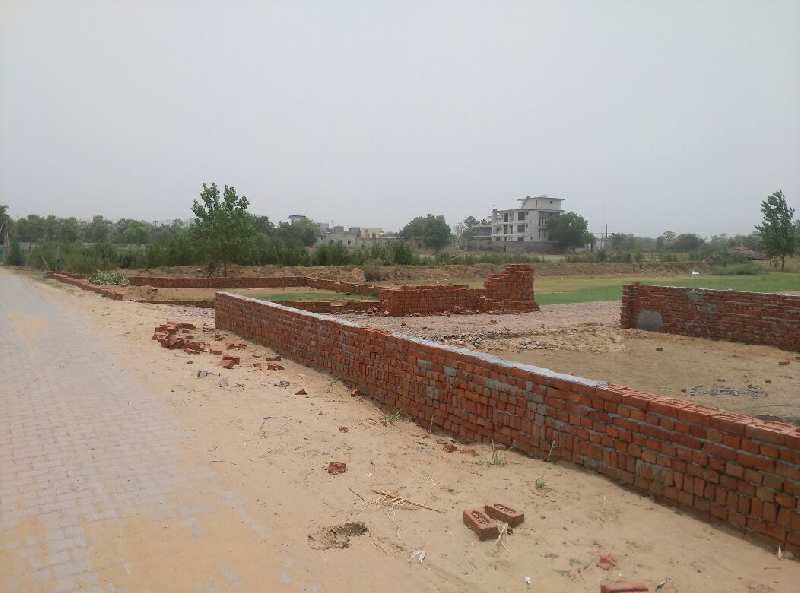  Residential Plot 50 Sq. Yards for Sale in Golf Course Ext Road, Gurgaon