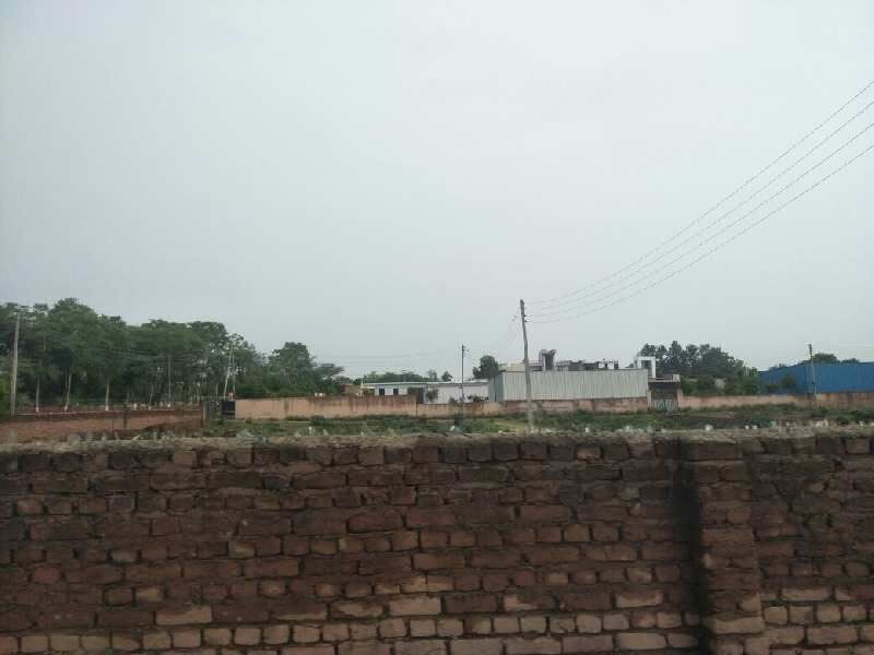  Residential Plot 50 Sq. Yards for Sale in Sector 63 A Gurgaon