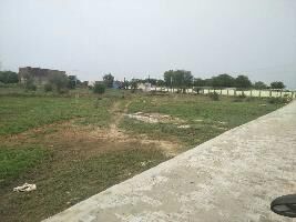  Residential Plot for Sale in Bhondsi, Gurgaon