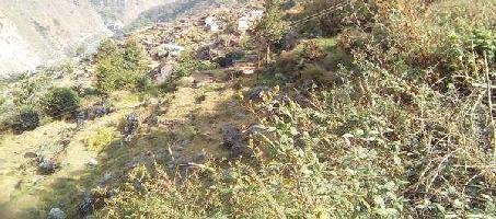  Agricultural Land for Sale in Joshimath, Chamoli