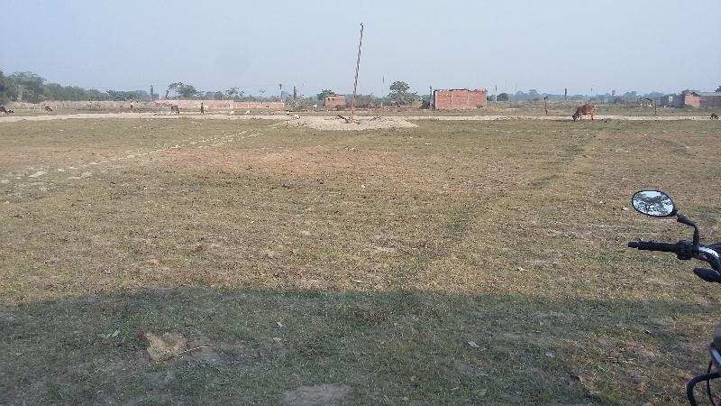 Agricultural Land 200 Acre for Sale in Dumaar Katihar