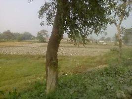  Residential Plot for Sale in NH 31, Purnia